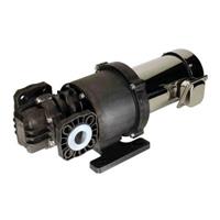 ECLIPSE® 125 Non-Metallic External Gear Pump